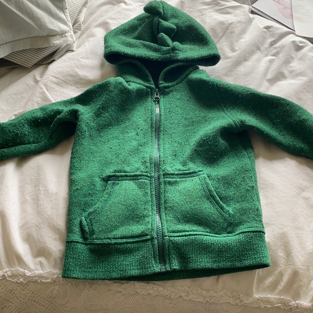 Dinosaur Jacket